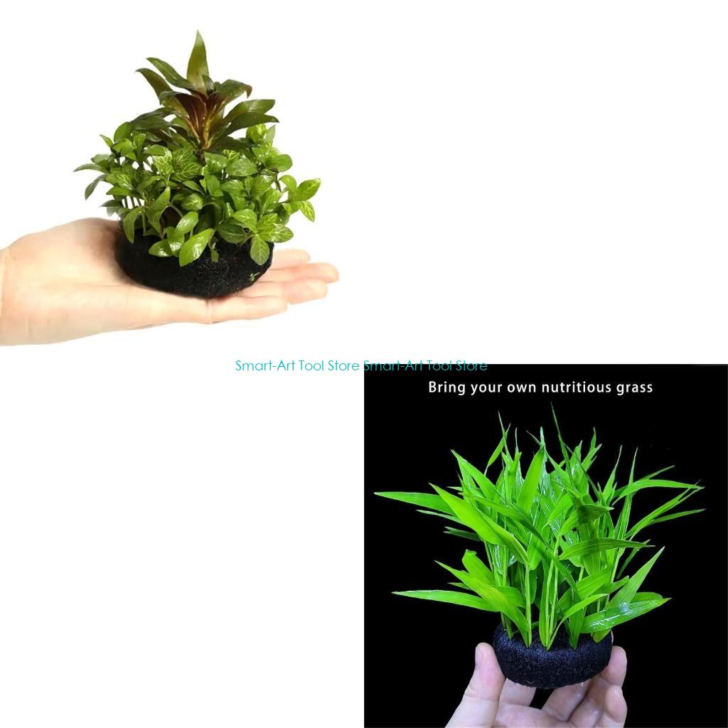 E1PB Nutrient Rich Resin Subst - مراجعة Aquarium Planted Substrate وسعره