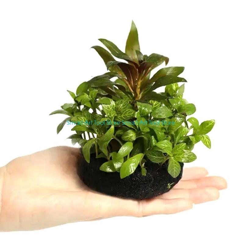 E1PB Nutrient Rich Resin Subst - مراجعة Aquarium Planted Substrate وسعره