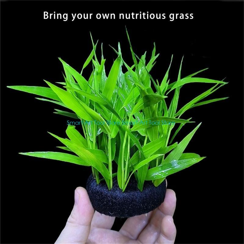 E1PB Nutrient Rich Resin Subst - مراجعة Aquarium Planted Substrate وسعره