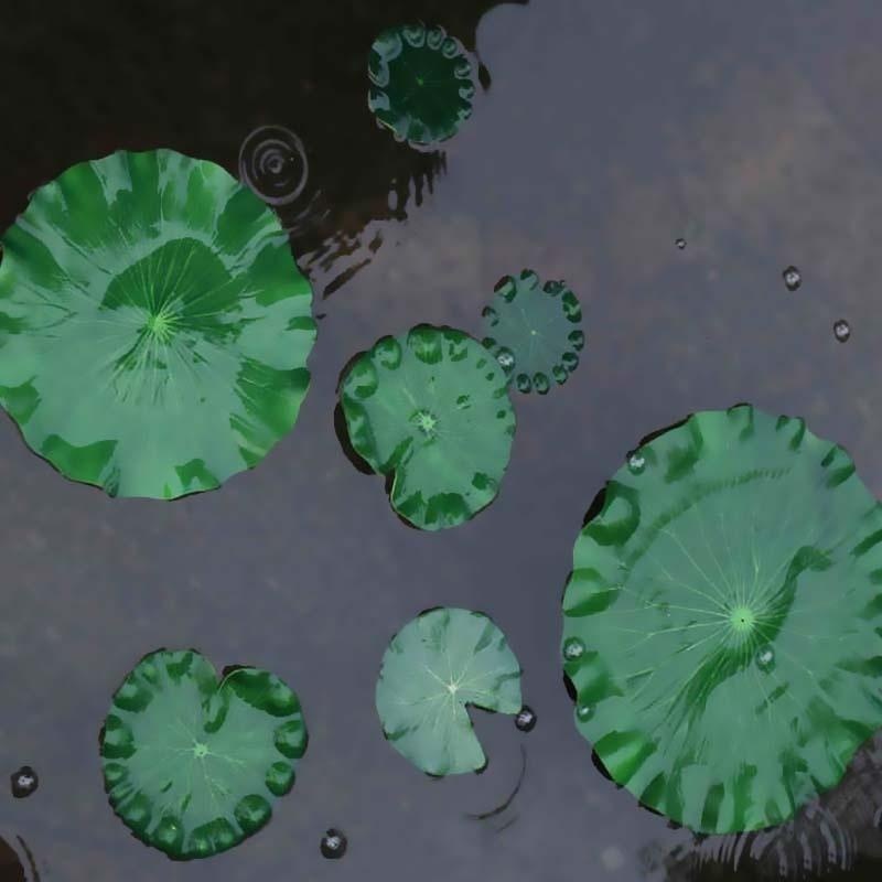 2026 Artificial Water Lily Lot - مراجعة Aquarium Planted Substrate وسعره