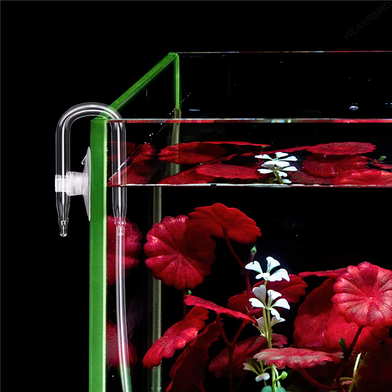 Aquarium U Shaped Air Pipe Con - مراجعة Planted Aquarium Accessories وسعره