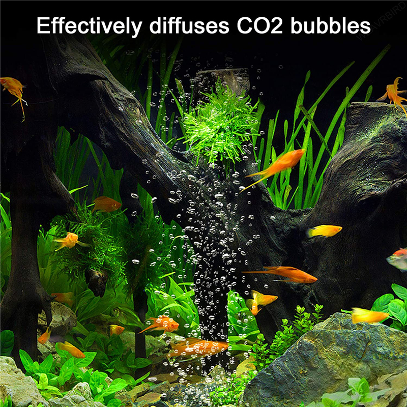 Aquarium U Shaped Air Pipe Con - مراجعة Planted Aquarium Accessories وسعره