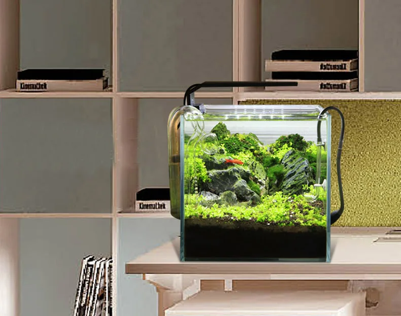 Chihiros C Series ADA Style Pl - مراجعة Aquarium Plant Growing وسعره