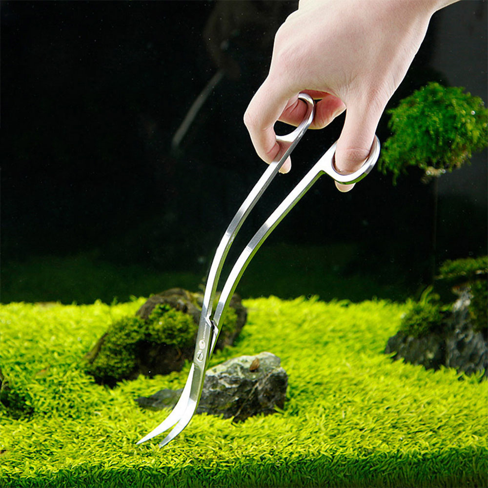 Aquarium Accessories Hard Stai - مراجعة Aquarium Plant Utensils وسعره