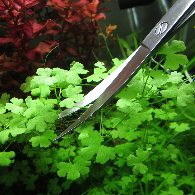 Aquarium Accessories Hard Stai - مراجعة Aquarium Plant Utensils وسعره