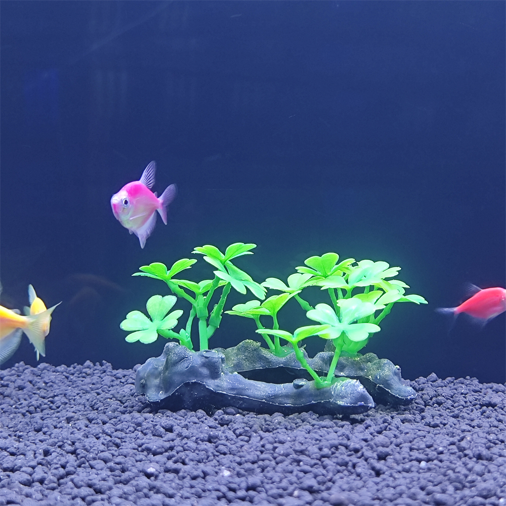 Aquarium simulation plant Plas - مراجعة Aquarium Planted Seeds وسعره