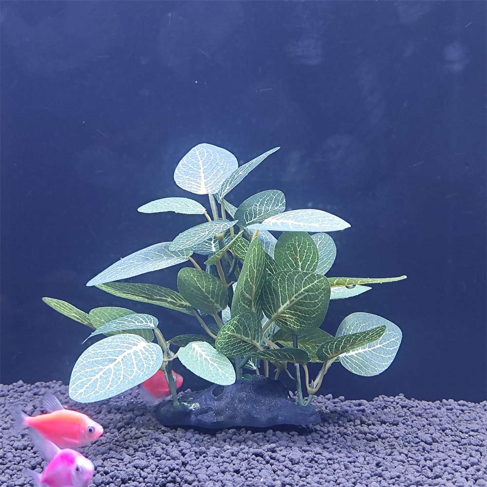 Aquarium simulation plant Plas - مراجعة Aquarium Planted Seeds وسعره