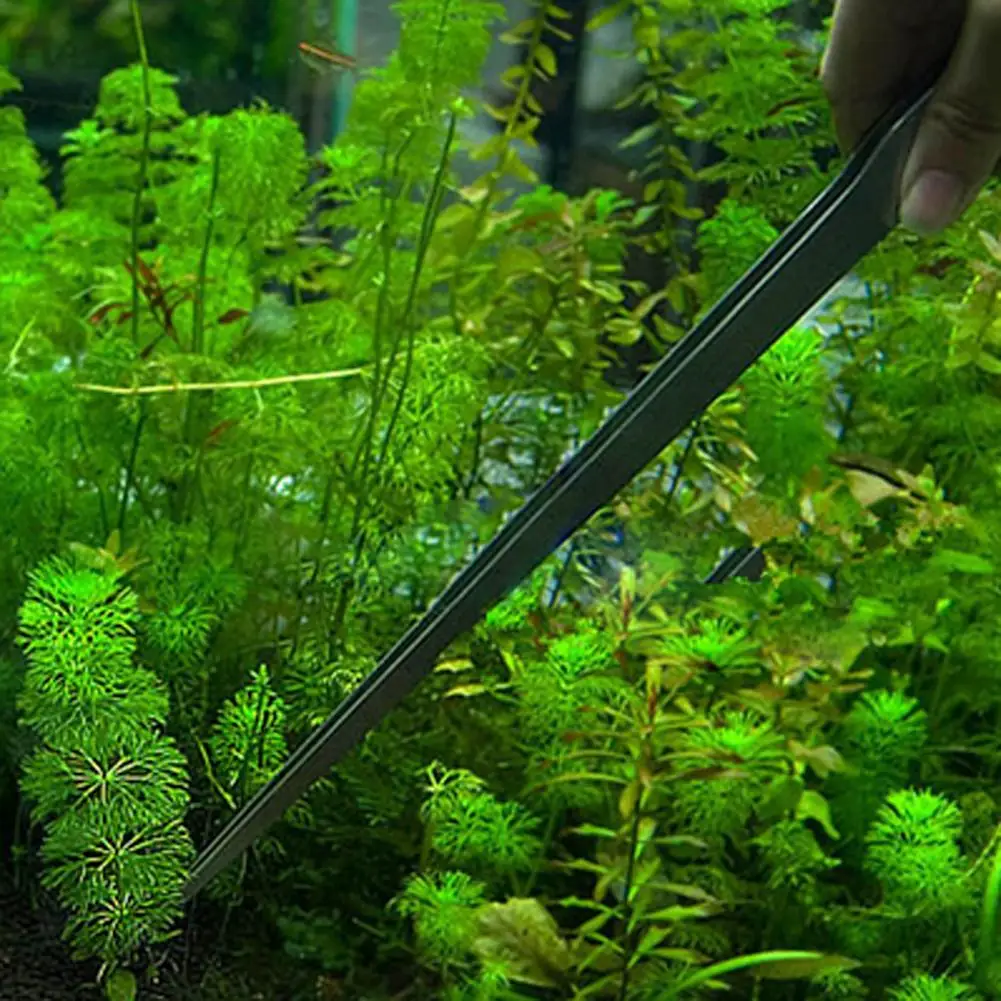 Universal 27CM Aquarium Plant  - مراجعة Aquarium Plant Utensils وسعره