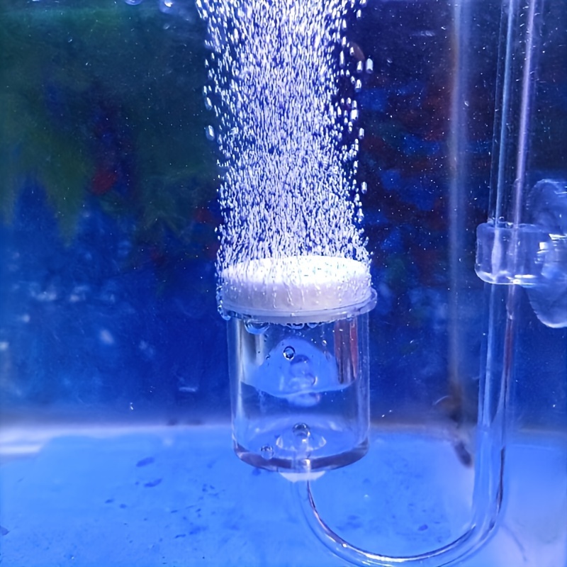 Aquarium Glass CO2 Atomizer Di - مراجعة Planted Aquarium Accessories وسعره