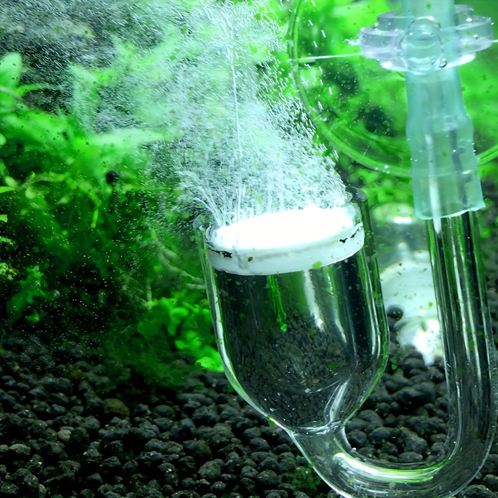 Aquarium Glass CO2 Atomizer Di - مراجعة Planted Aquarium Accessories وسعره