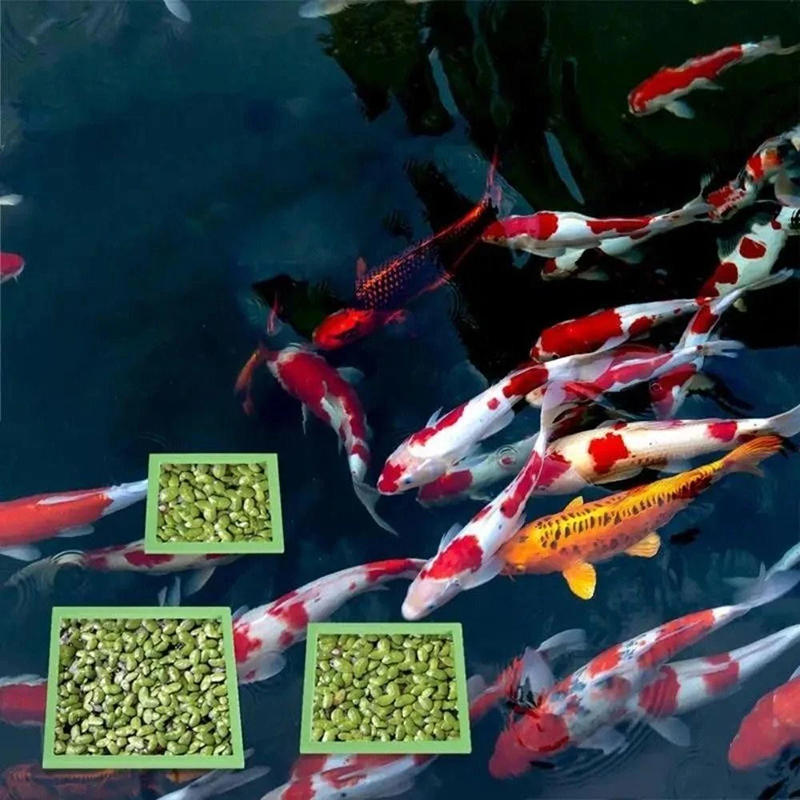 5/10pcs Aquarium Floating Plan - مراجعة Planted Aquarium Accessories وسعره