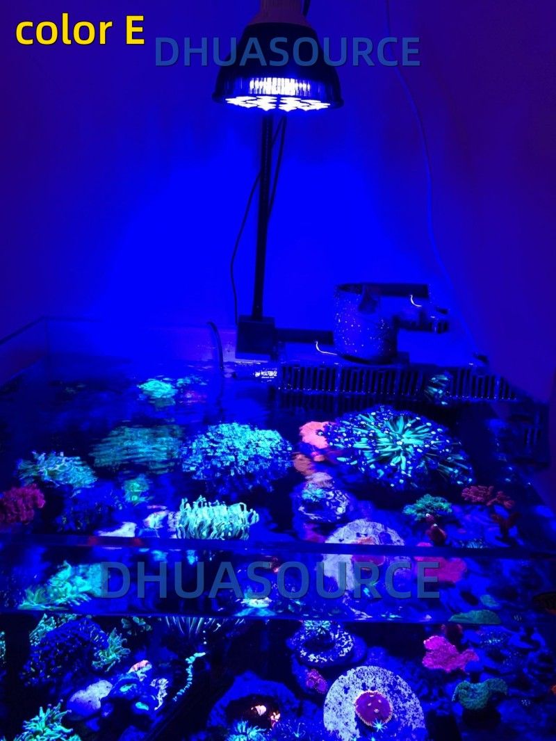 Free customize LED Aquarium li - مراجعة Aquarium Plant Growing وسعره