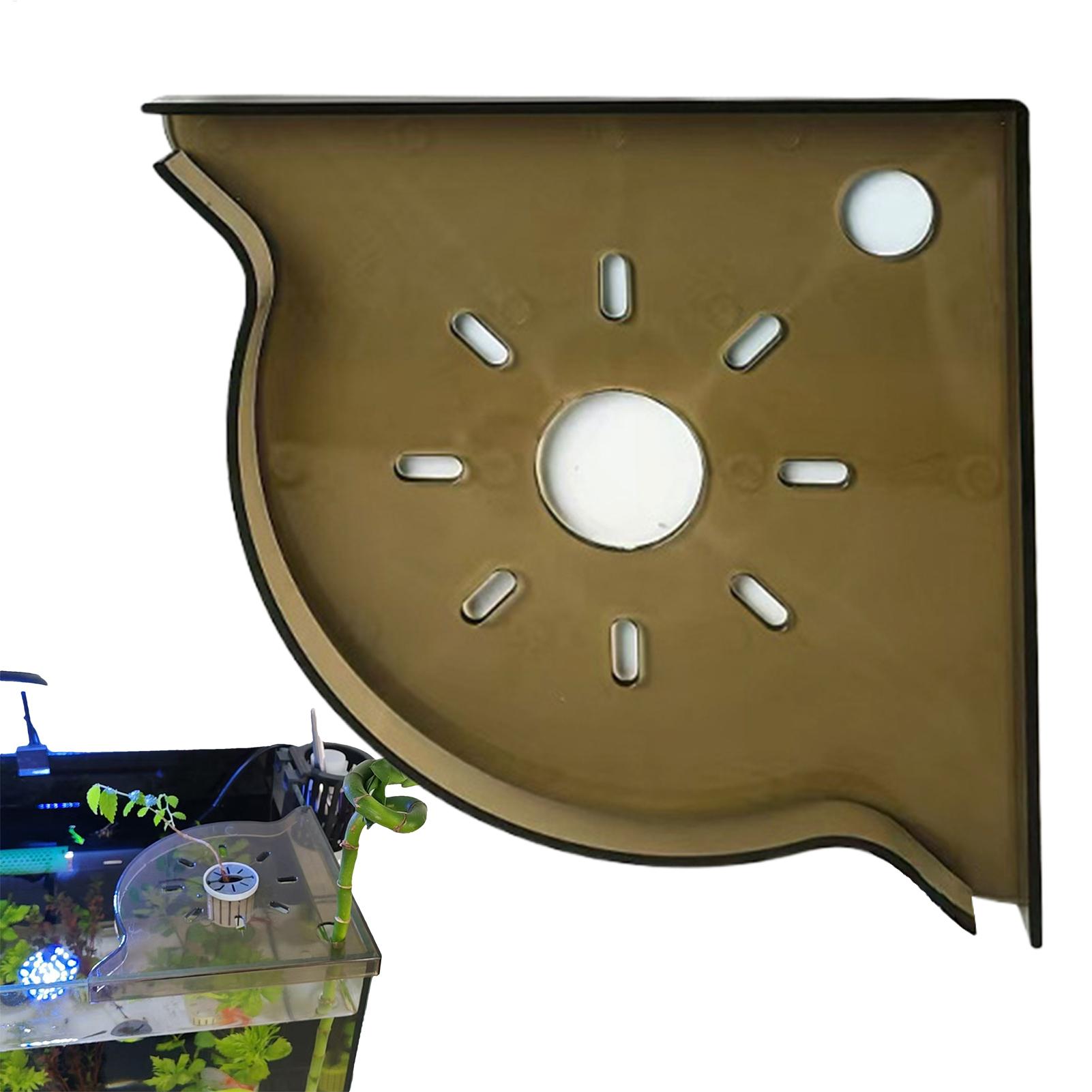 Fish Tank Plant Holder Triangl - مراجعة Aquarium Plant Utensils وسعره