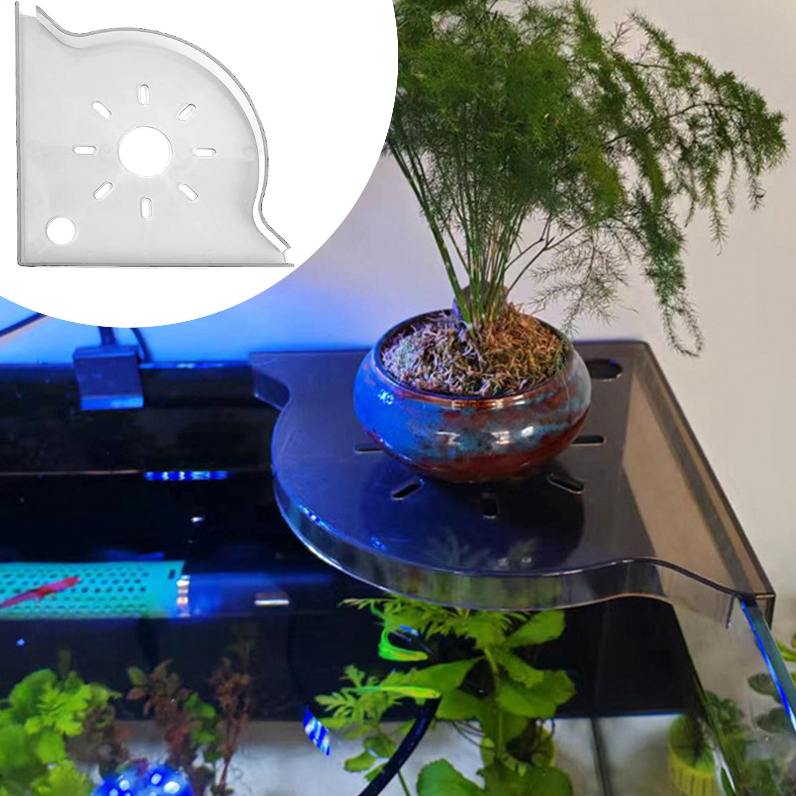 Fish Tank Plant Holder Triangl - مراجعة Aquarium Plant Utensils وسعره
