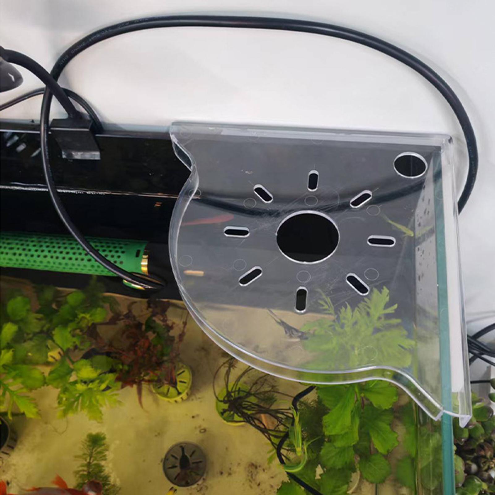 Fish Tank Plant Holder Triangl - مراجعة Aquarium Plant Utensils وسعره