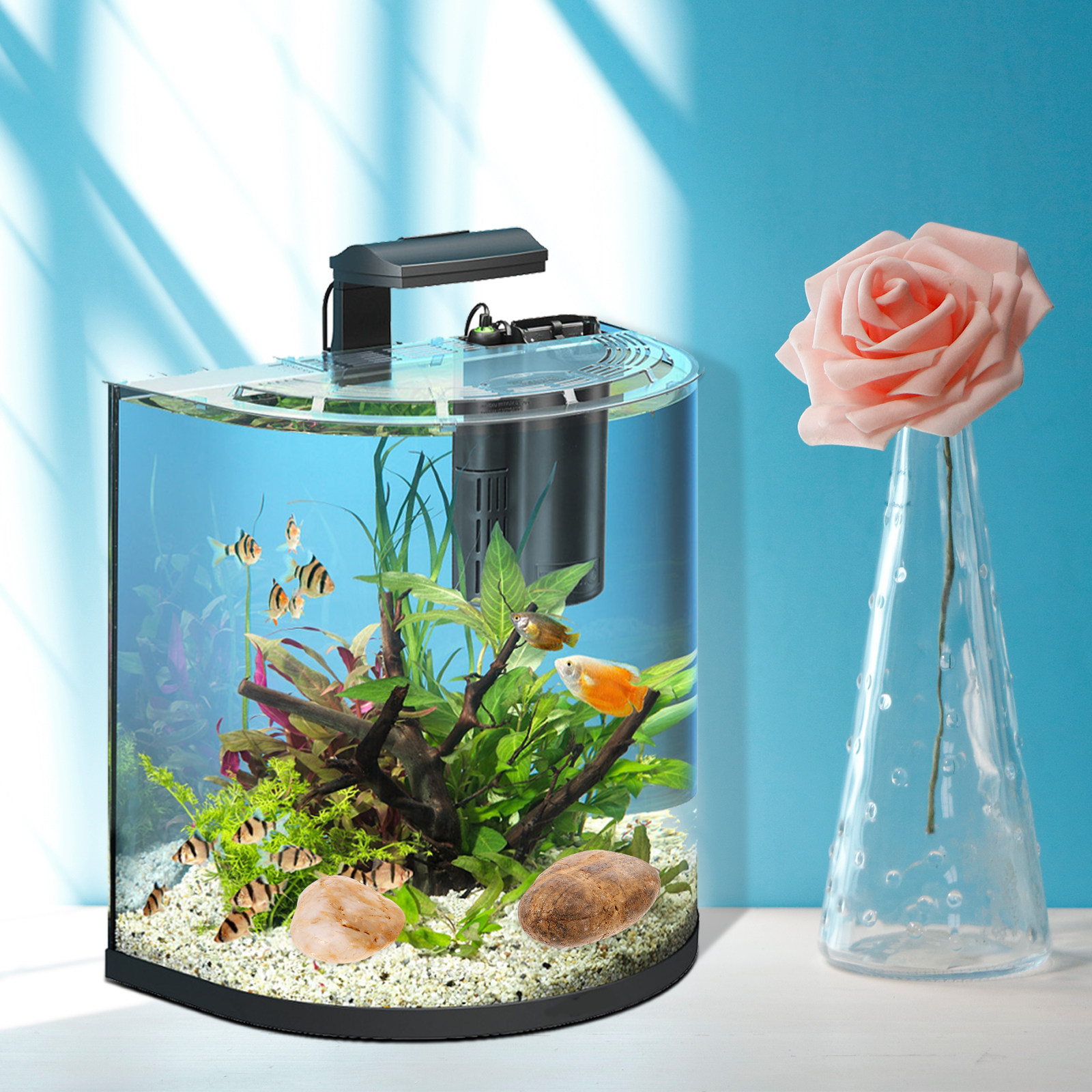 1Set Aquarium Pebbles Natural  - مراجعة Aquarium Plant Gravel وسعره