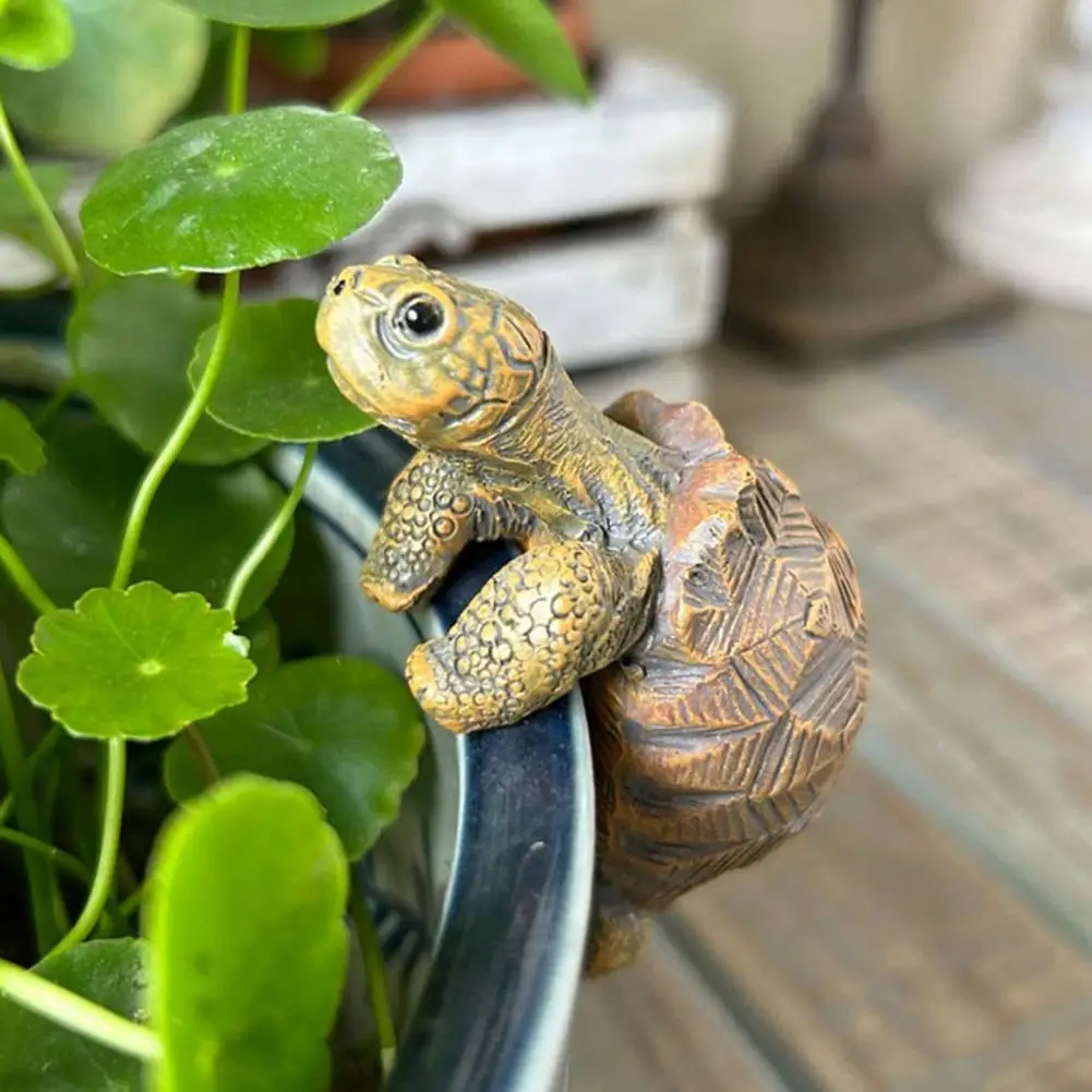 Fishing Turtle Hanging Turtle  - مراجعة Aquarium Planting وسعره