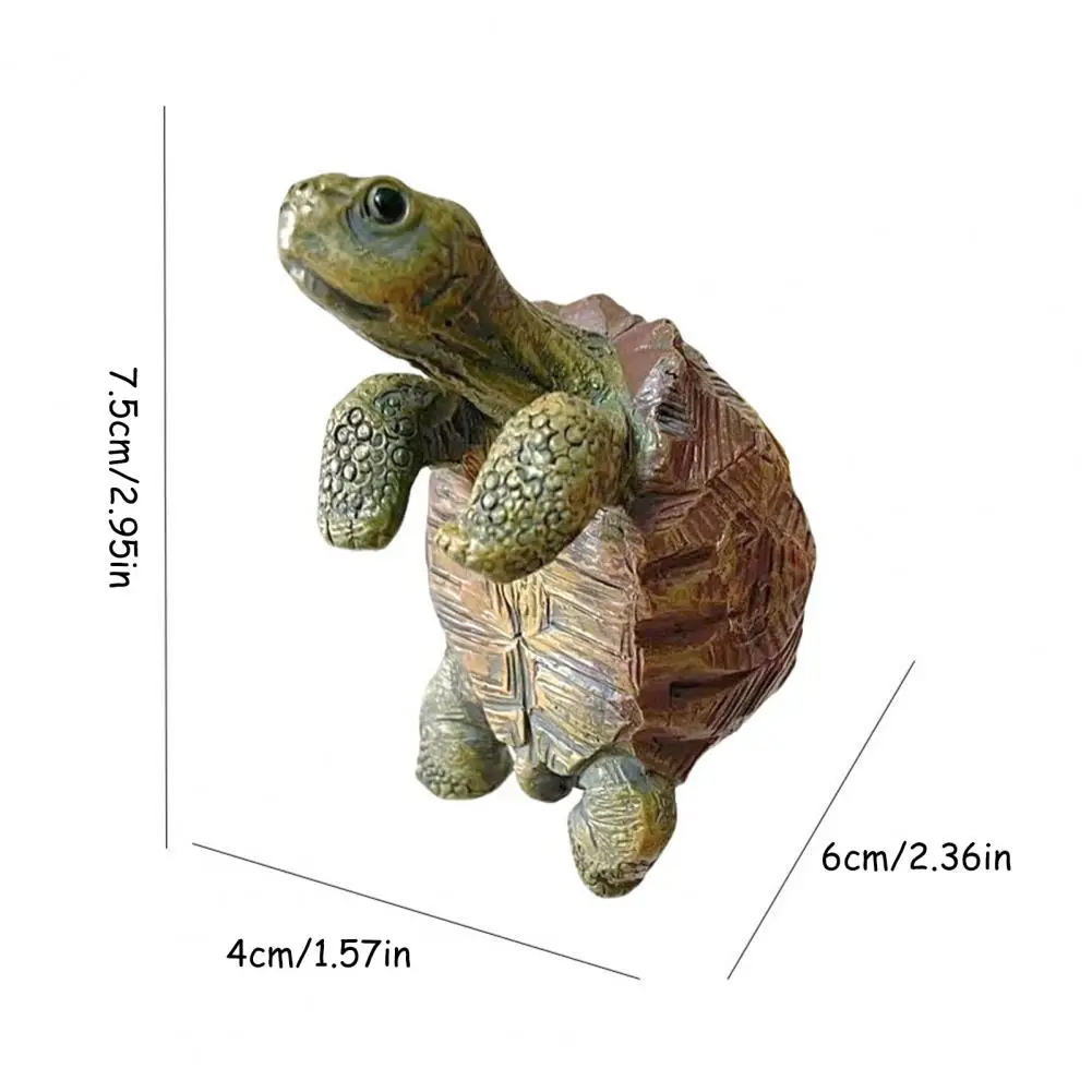 Fishing Turtle Hanging Turtle  - مراجعة Aquarium Planting وسعره