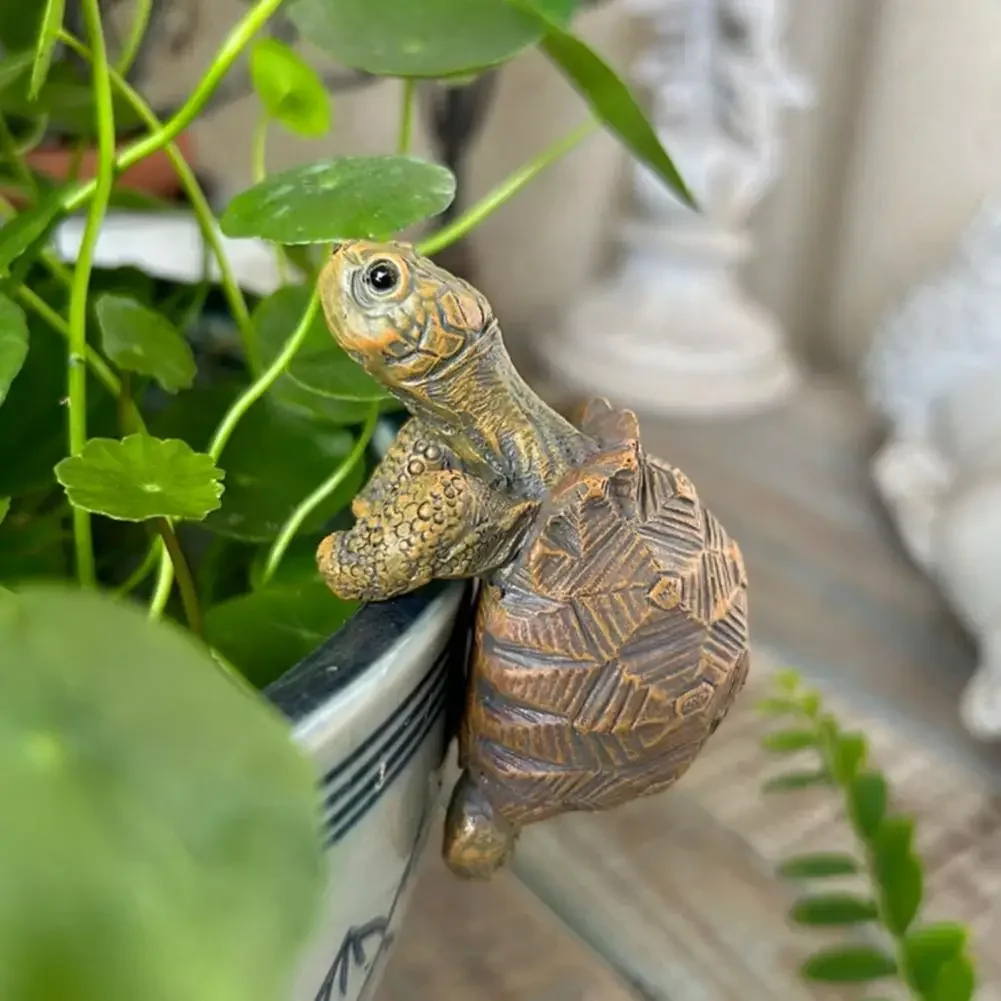 Fishing Turtle Hanging Turtle  - مراجعة Aquarium Planting وسعره