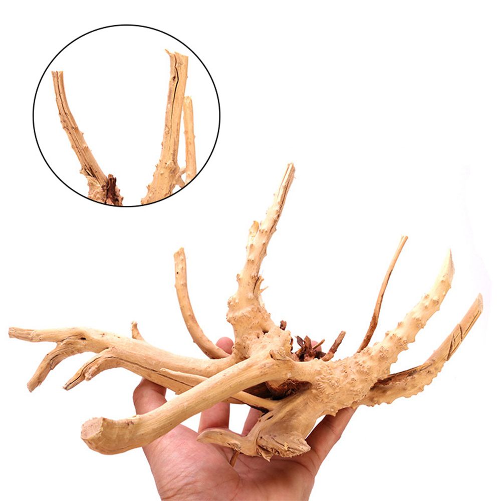 1 Pcs Wood Reptile Fish Tank O - مراجعة Aquarium Planted Substrate وسعره
