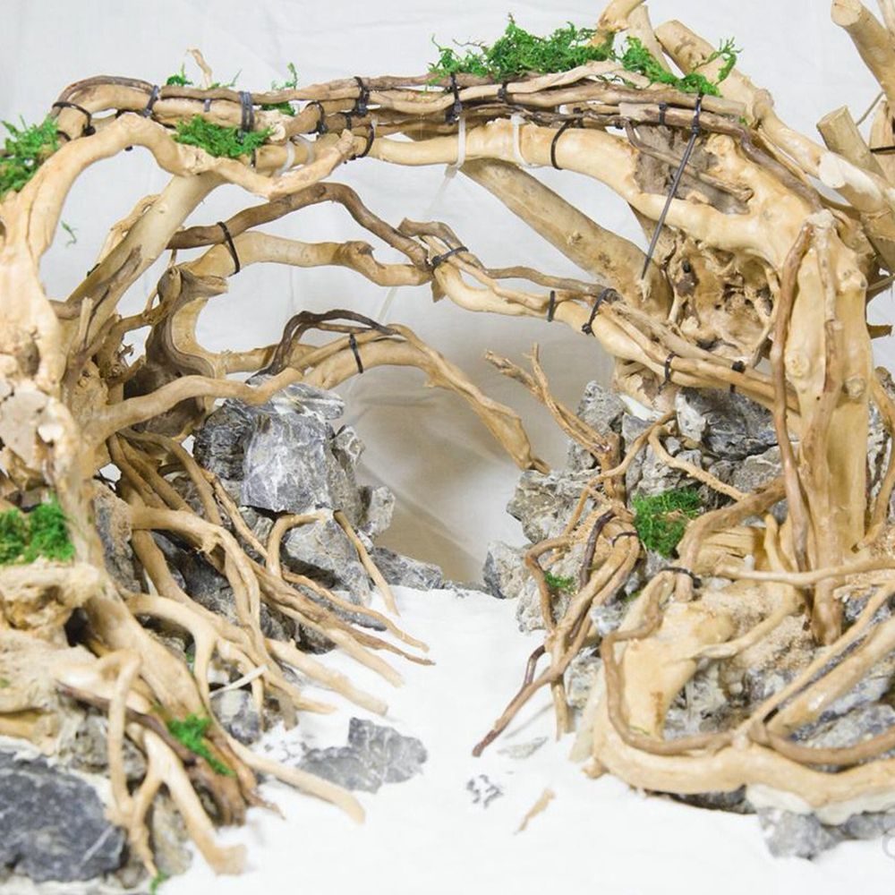 1 Pcs Wood Reptile Fish Tank O - مراجعة Aquarium Planted Substrate وسعره