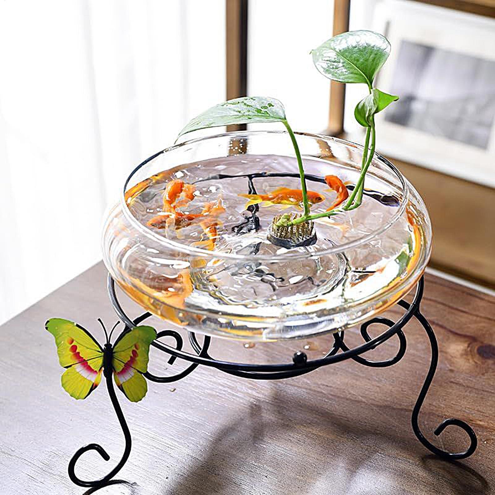 Fish Glass Bowl Glass Large Hy - مراجعة Aquarium Planting وسعره