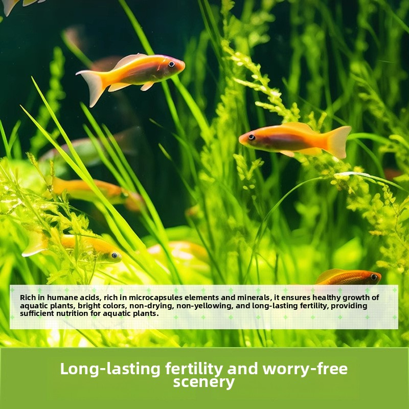 BESSN Aquarium Substrate Bundl - مراجعة Aquarium Planted Seeds وسعره