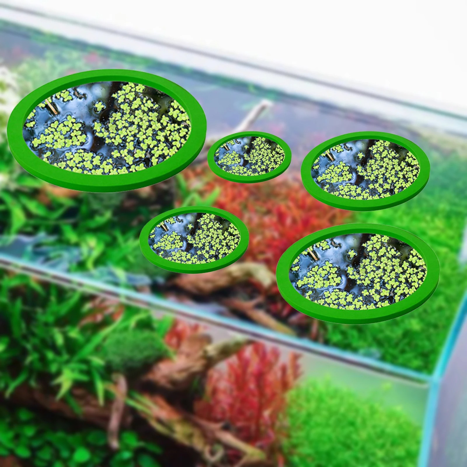 5Pcs EVA Fish Feeding Ring Aqu - مراجعة Aquarium Planting وسعره