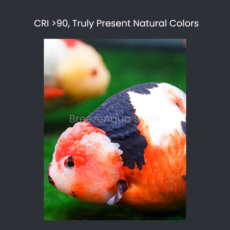 MAYIN Super Colour 100W Freshw - مراجعة Planted Aquarium Freshwater وسعره