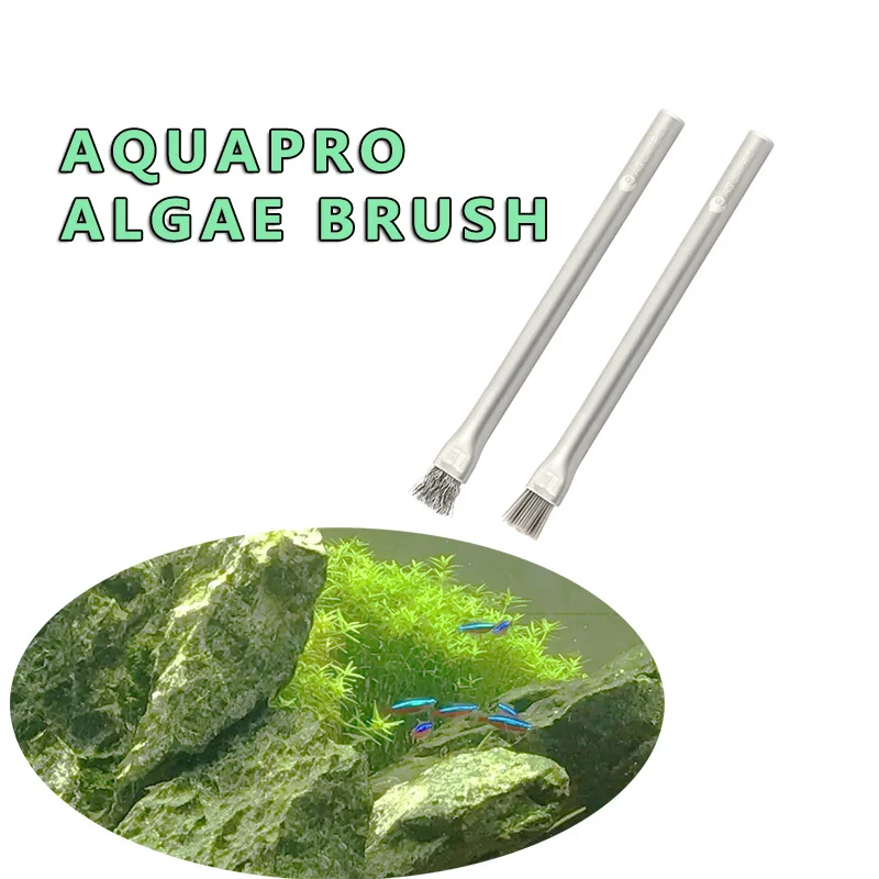 Aquapro Algae Brush Cleaning B - مراجعة Aquarium Plant Utensils وسعره