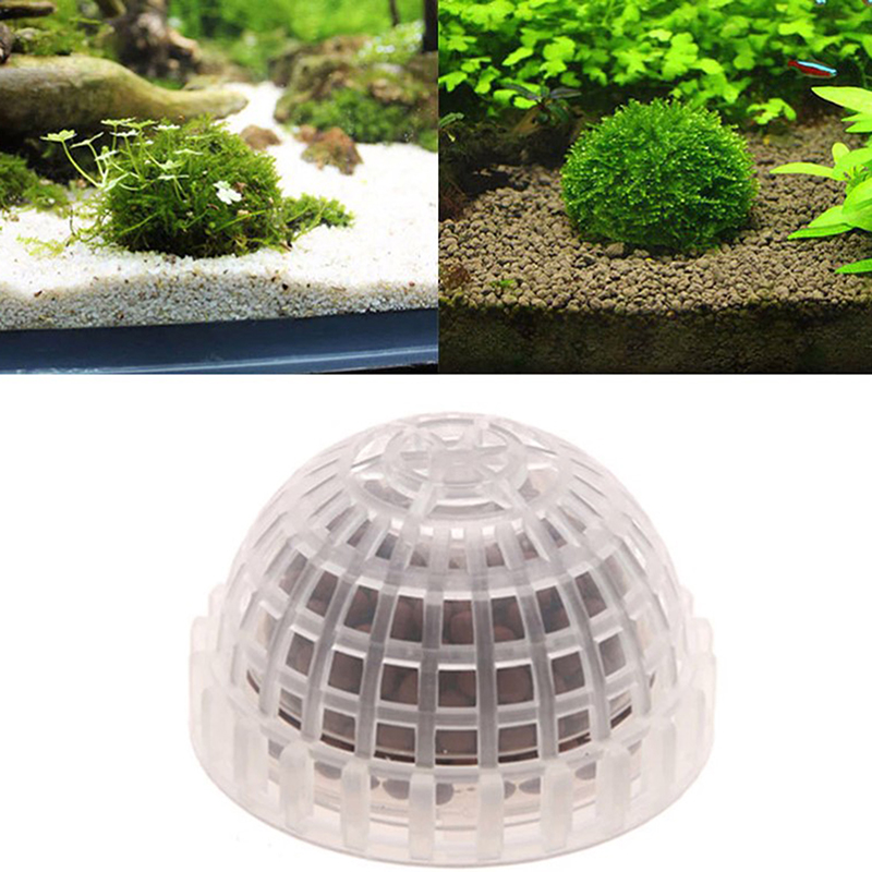 .1Pc Aquatic Pet Supplies Deco - مراجعة Aquarium Plant Echinodorus وسعره