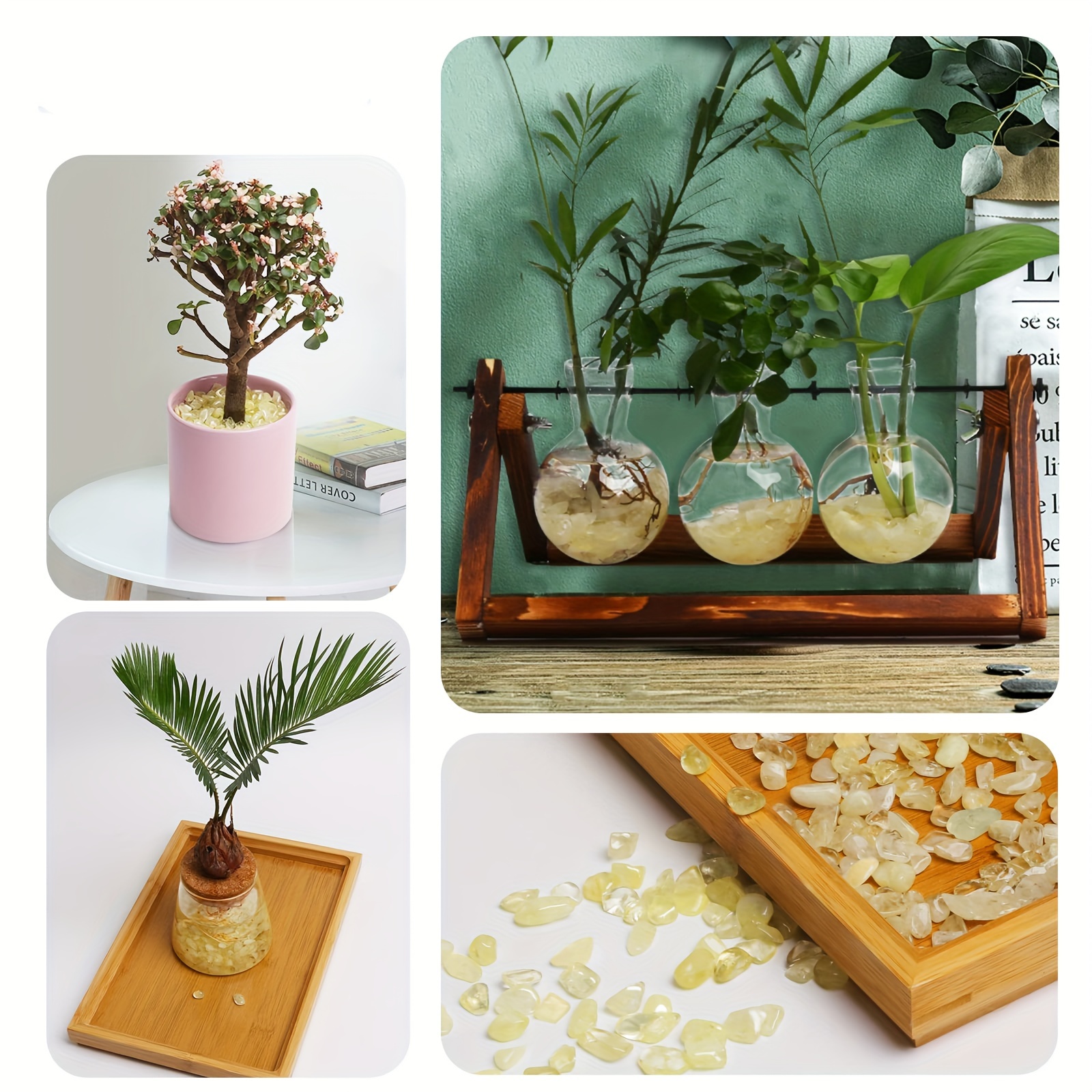 Citrine Chips - Stylish jewelr - مراجعة Planted Aquarium Accessories وسعره