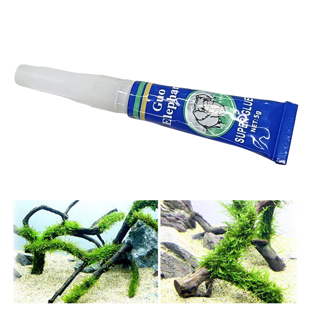 Fish Tank Landscaping Moss Glu - مراجعة Aquarium Plant Glue Gel وسعره