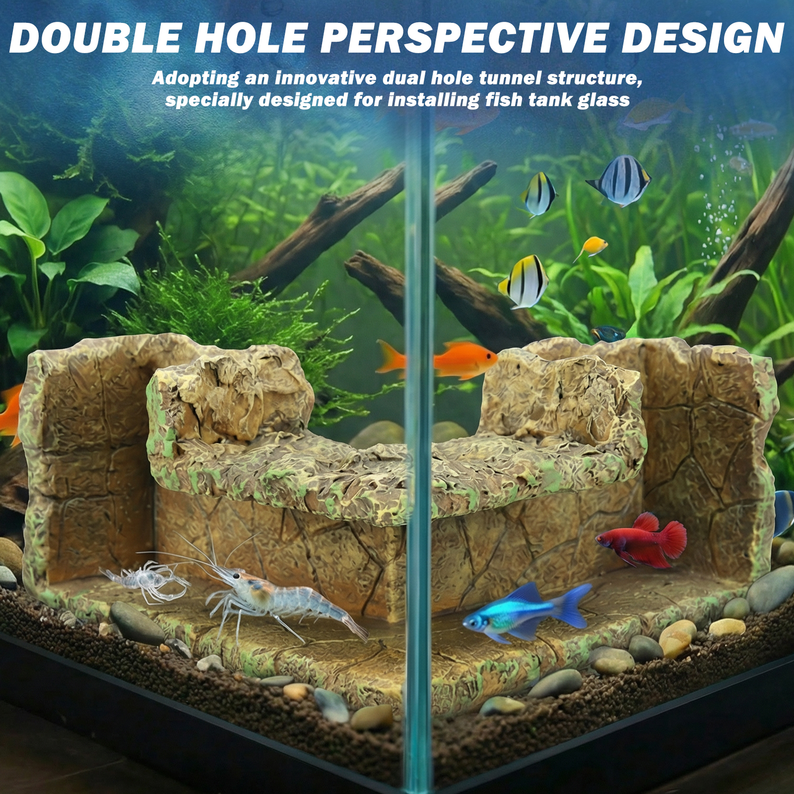 Aquarium Corner Hideaway Tunne - مراجعة Aquarium Planted Seeds وسعره