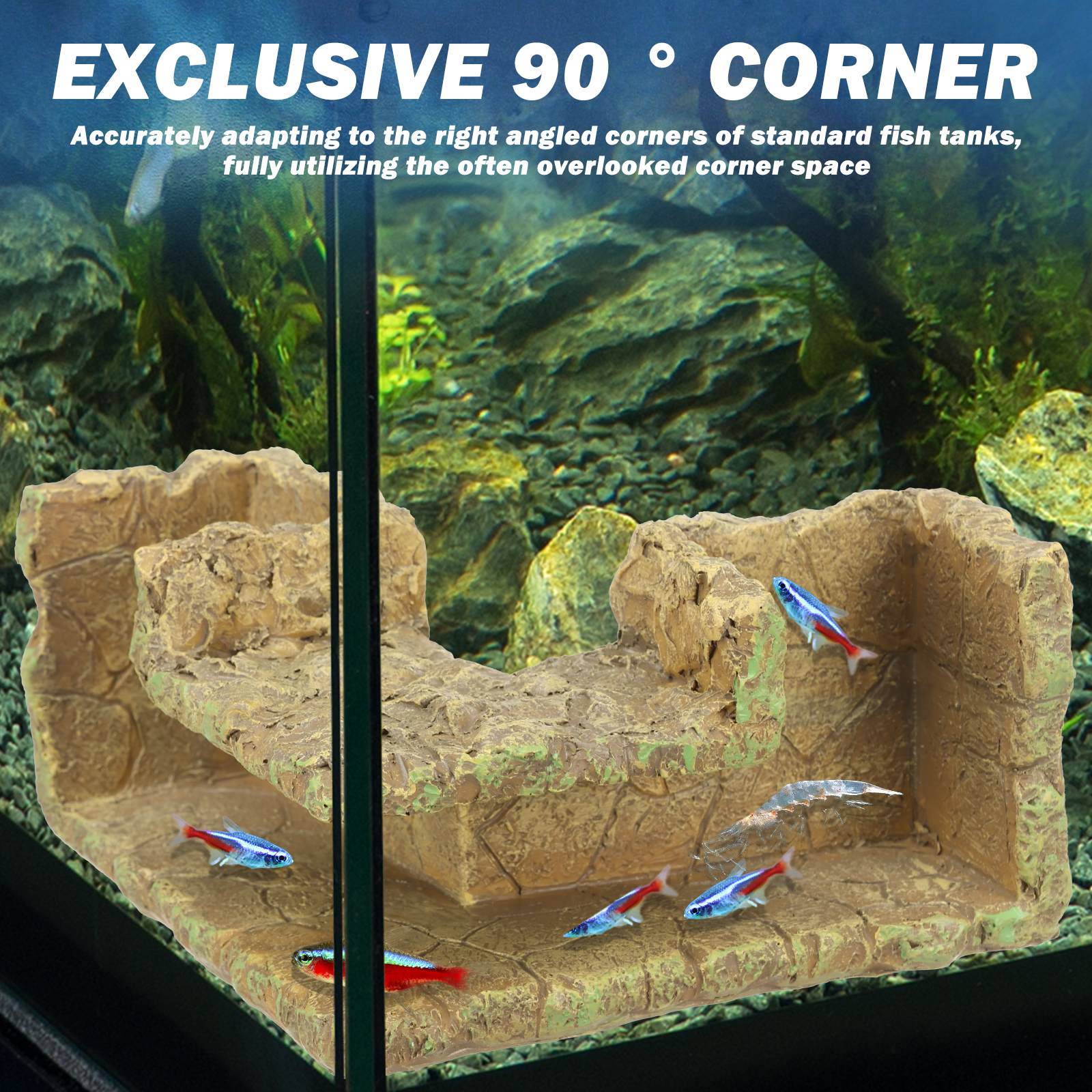 Aquarium Corner Hideaway Tunne - مراجعة Aquarium Planted Seeds وسعره