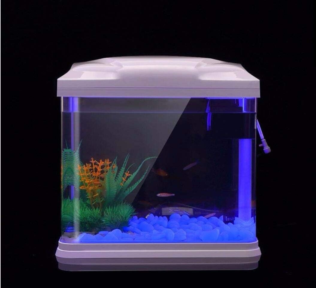 Fish Tank Rocks Glow Blue Pebb - مراجعة Aquarium Planting وسعره