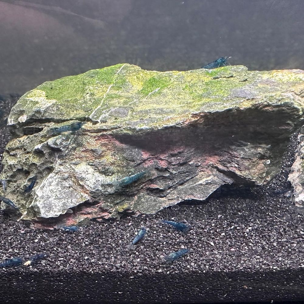 YISZM Aquarium Sand, 20lbs Bla - مراجعة Aquarium Plant Gravel وسعره