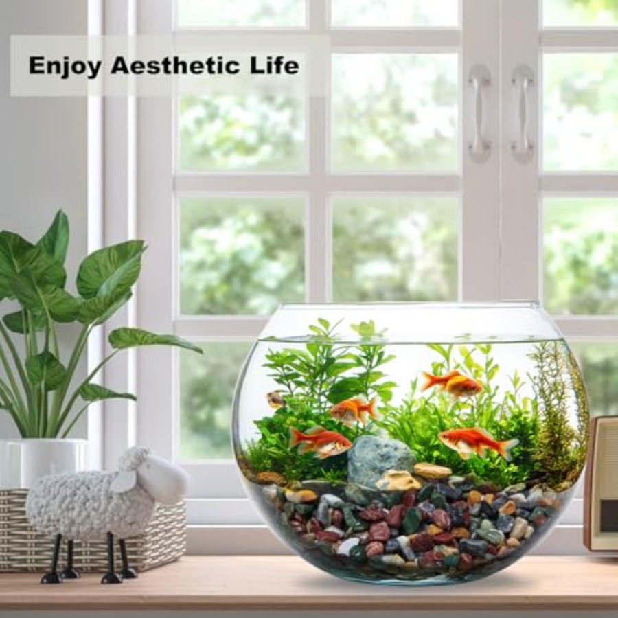 45LB Succulents Rocks for Plan - مراجعة Aquarium Plant Gravel وسعره