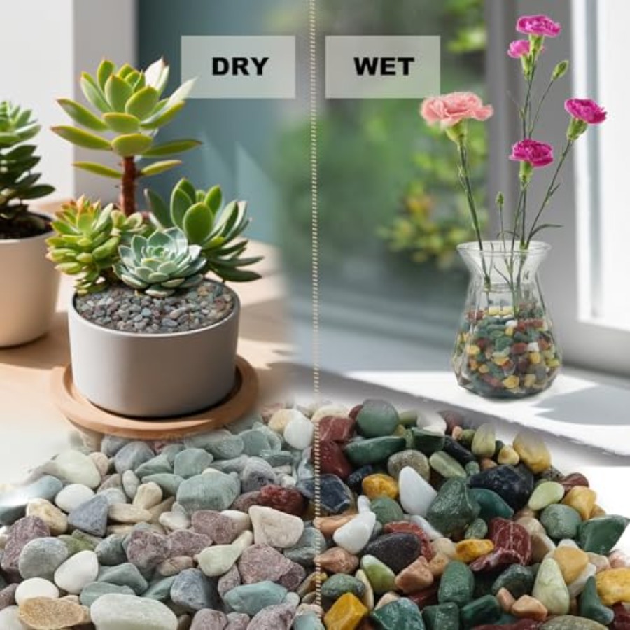 45LB Succulents Rocks for Plan - مراجعة Aquarium Plant Gravel وسعره