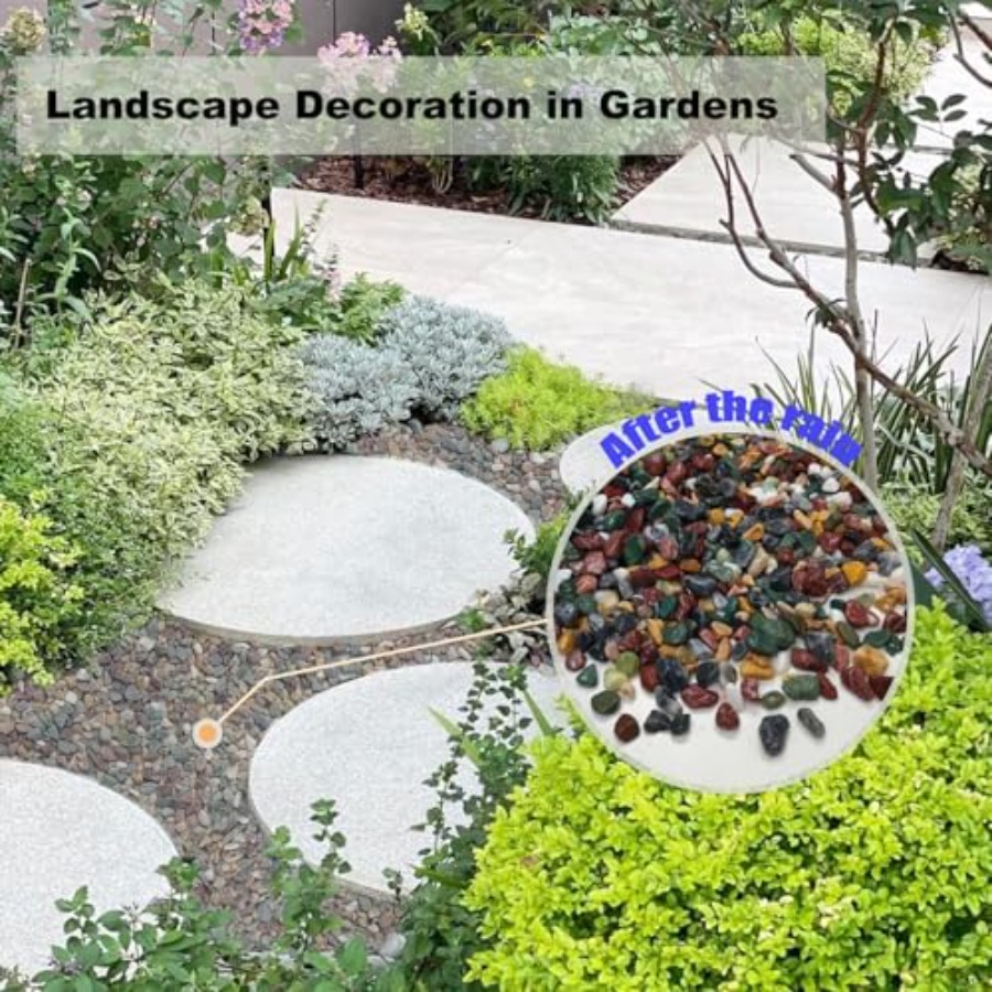 45LB Succulents Rocks for Plan - مراجعة Aquarium Plant Gravel وسعره