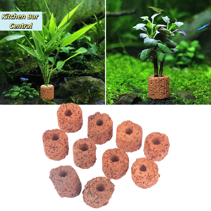 【10Pcs Plant Ring Aquarium Fix - مراجعة Aquarium Plant Utensils وسعره
