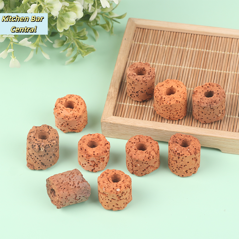 【10Pcs Plant Ring Aquarium Fix - مراجعة Aquarium Plant Utensils وسعره