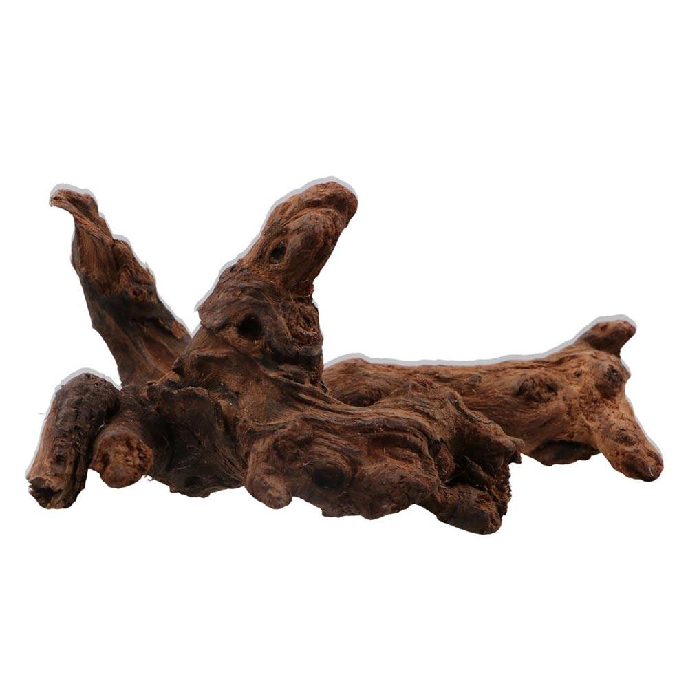 Creative Irregular Shape Coral - مراجعة Aquarium Planted Substrate وسعره