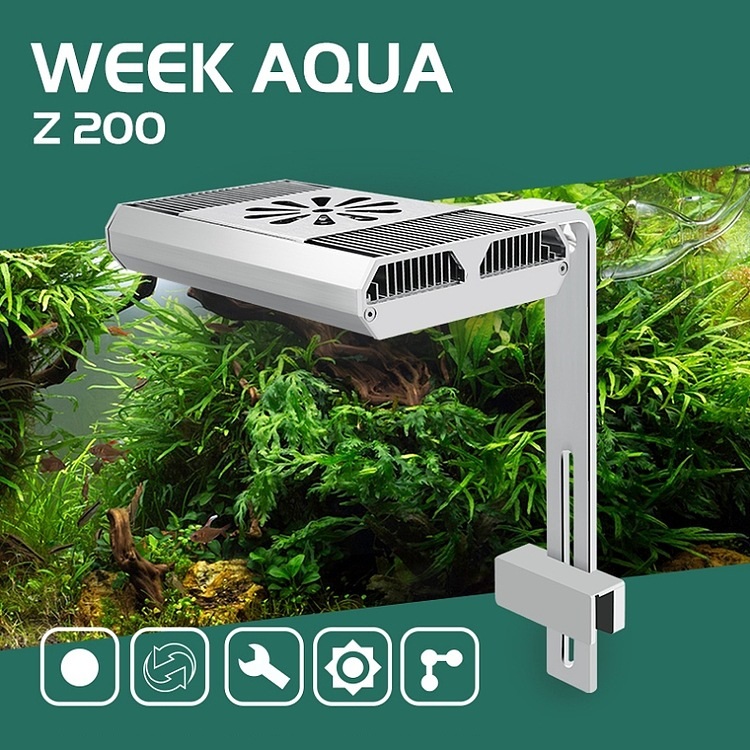 Full Spectrum Fish Tank Light  - مراجعة Aquarium Planting وسعره