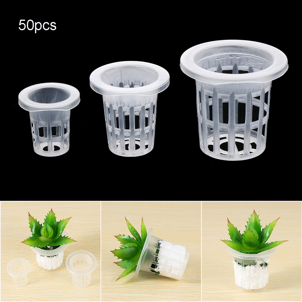 10/50pcs Garden Supplies Aquar - مراجعة Aquarium Planted Seeds وسعره