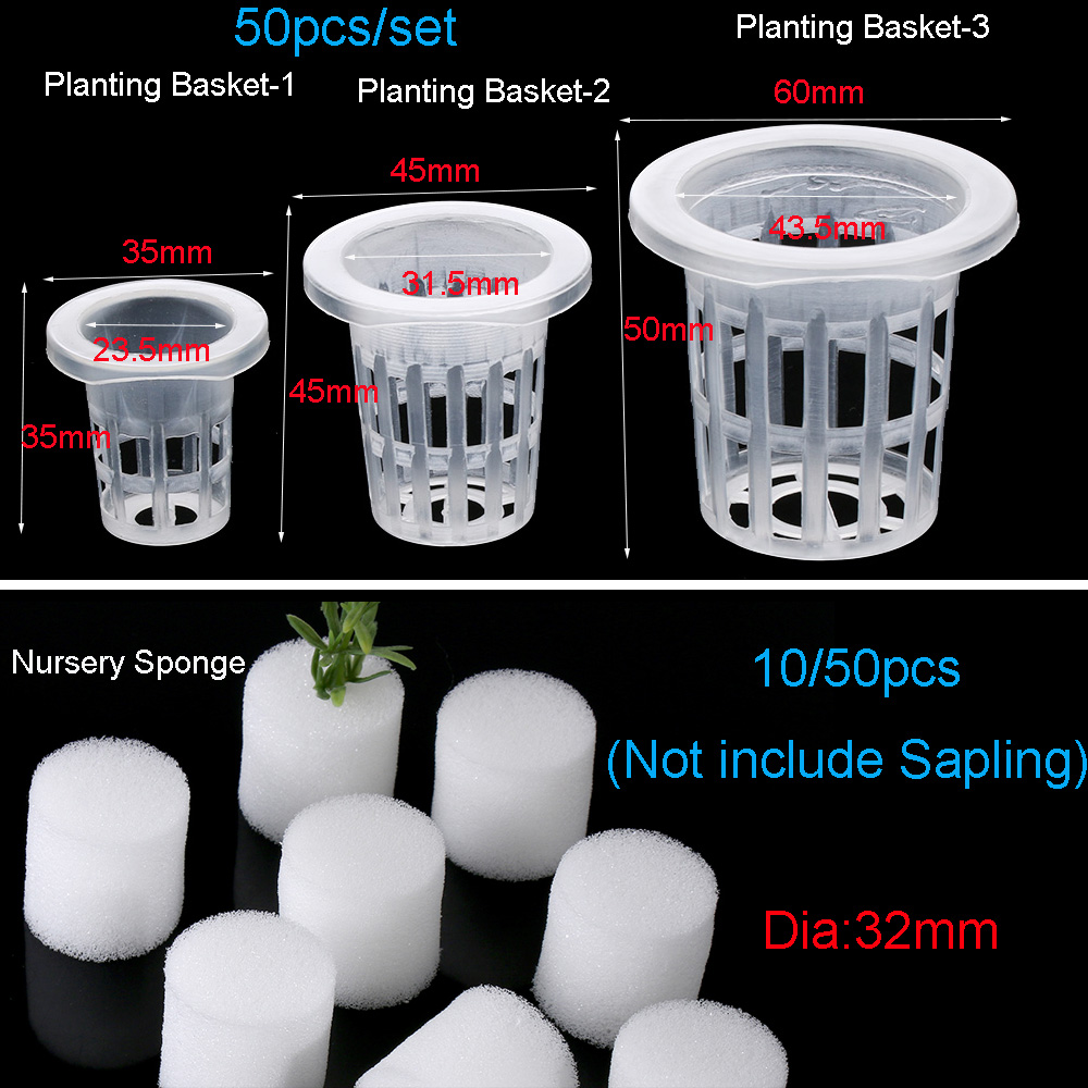 10/50pcs Garden Supplies Aquar - مراجعة Aquarium Planted Seeds وسعره