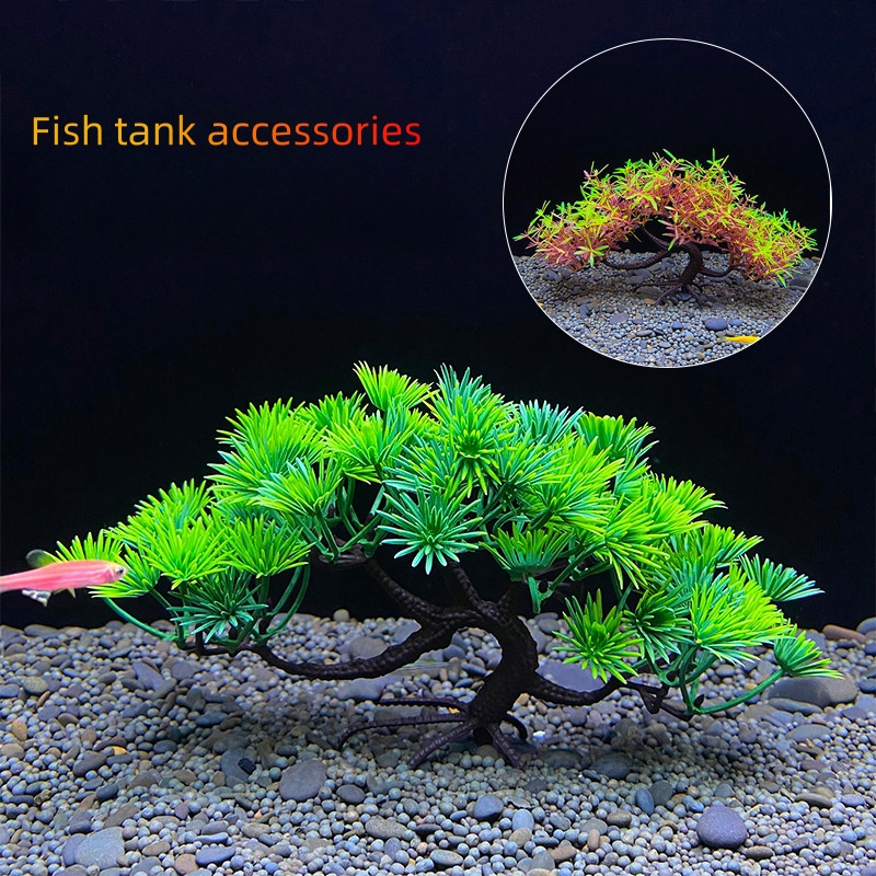 Aquarium bonsai tree, plant, f - مراجعة Aquarium Planted Seeds وسعره