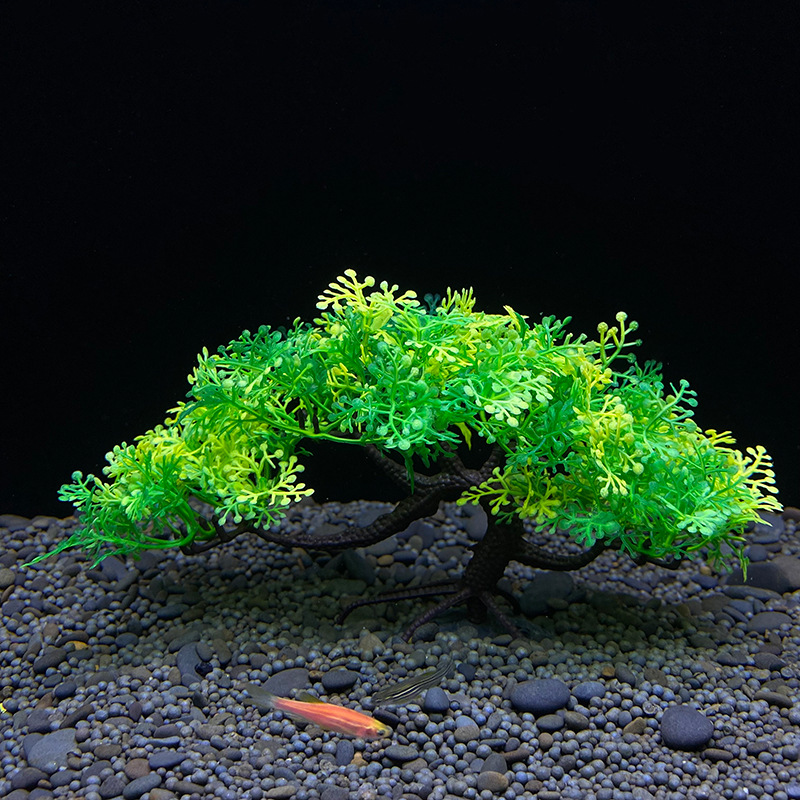 Aquarium bonsai tree, plant, f - مراجعة Aquarium Planted Seeds وسعره