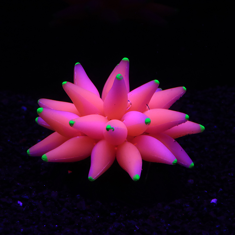 Fluorescent Bubble Coral Lumin - مراجعة Aquarium Plant Glue وسعره
