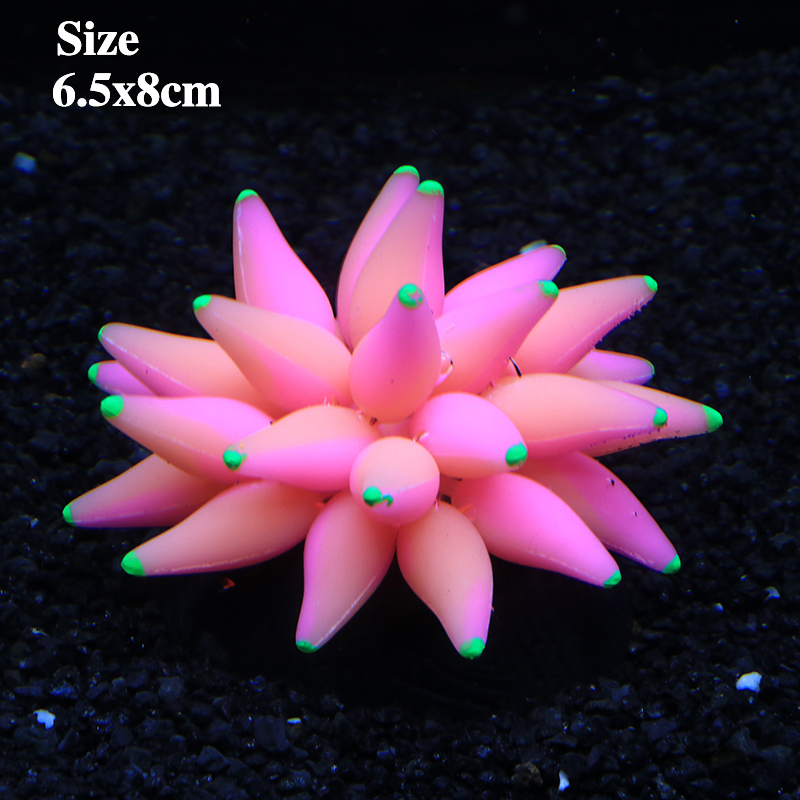 Fluorescent Bubble Coral Lumin - مراجعة Aquarium Plant Glue وسعره